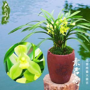 秋迁
