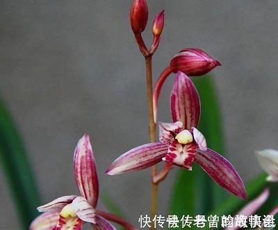 晚宴