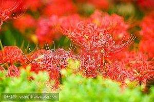水勇