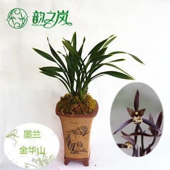 标异