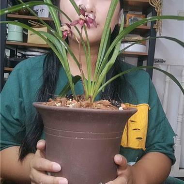 私娼