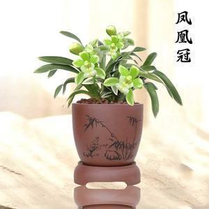 簪袅