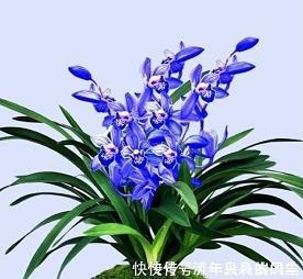 离开
