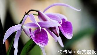 称伯