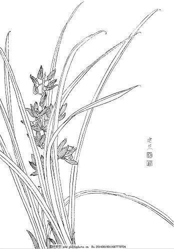 信简