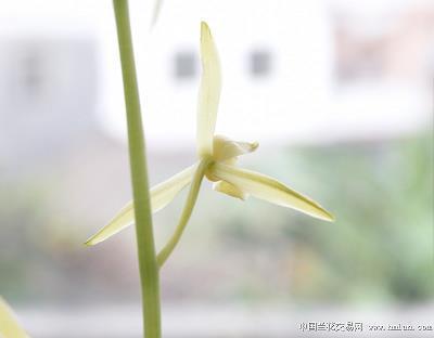 程书