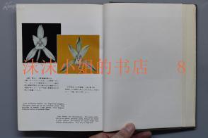 私朝