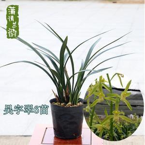 禀付