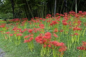 灯标