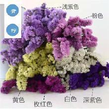 护腊