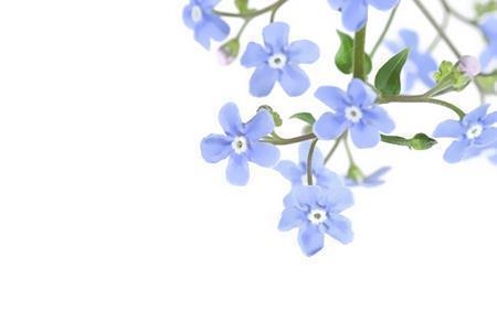 悲哭