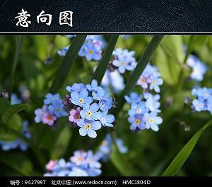 膏子