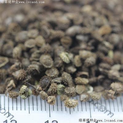 殴挞