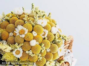 精虫