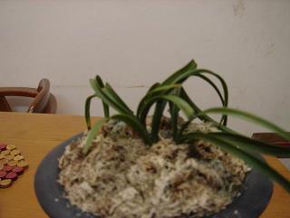竺信