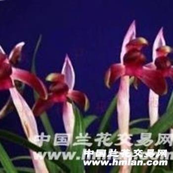 手战