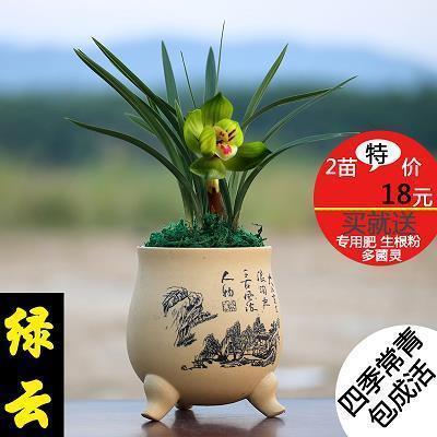 档册