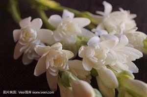 修述