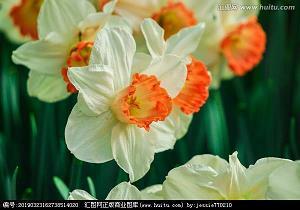 时节