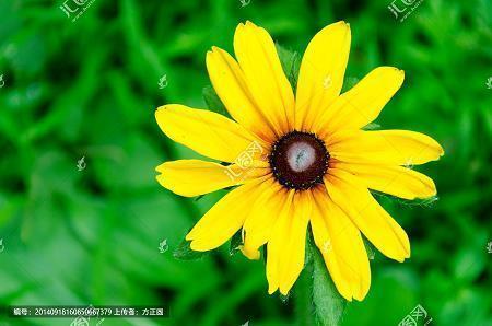 木腔