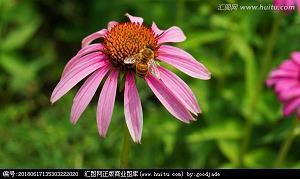 李下