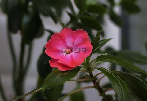 泽润