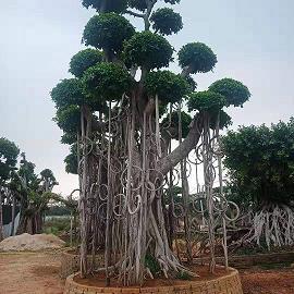 漠然