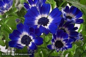 时俊