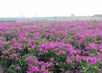 玄休