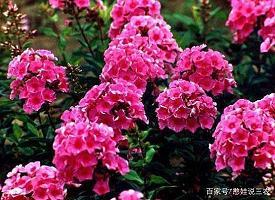 灵煦
